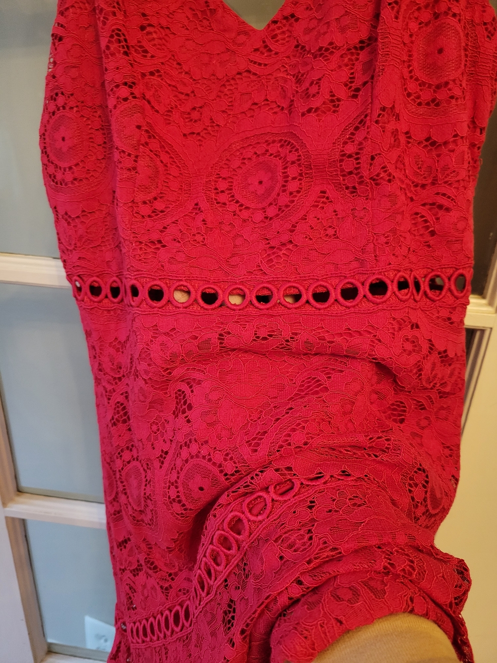 Francesca's Collections Red Lace Mini Dress with Spaghetti Straps Medium - Picture 8 of 15